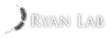 Ryan Lab